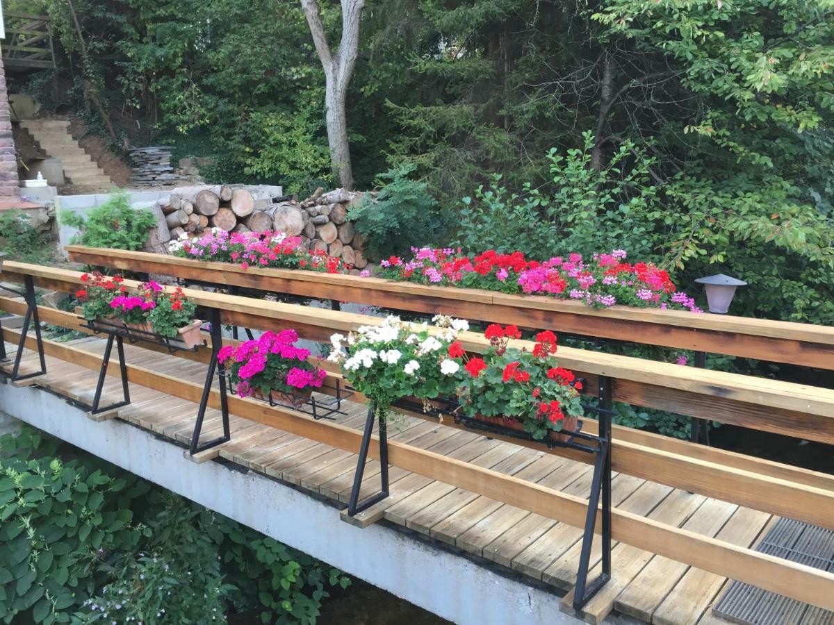 Le Gite Du Pont Ribeauville  Ngoại thất bức ảnh